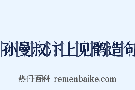 孙曼叔汴上见鹘造句是什么意思的图片